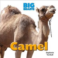 Cover image for Camel