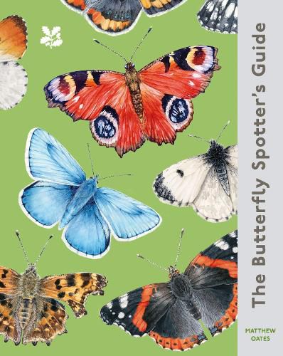 Cover image for The Butterfly Spotter's Guide