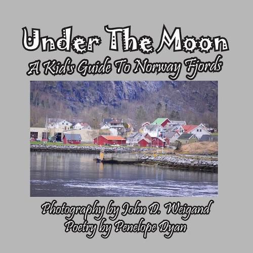 Cover image for Under the Moon -- A Kid's Guide to Norway Fjords