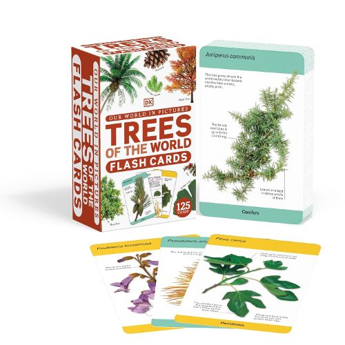 Cover image for Our World in Pictures Trees of the World Flash Cards
