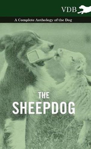 Cover image for The Sheepdog - A Complete Anthology of the Breeds