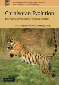 Cover image for Carnivoran Evolution: New Views on Phylogeny, Form and Function