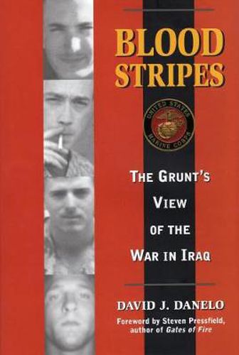 Cover image for Blood Stripes: The Grunt's View of the War in Iraq