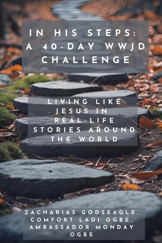 Cover image for In His Steps - A 40-Day WWJD Challenge - Living Like Jesus in Real-Life Stories Around the World