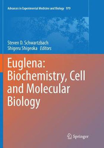 Cover image for Euglena: Biochemistry, Cell and Molecular Biology