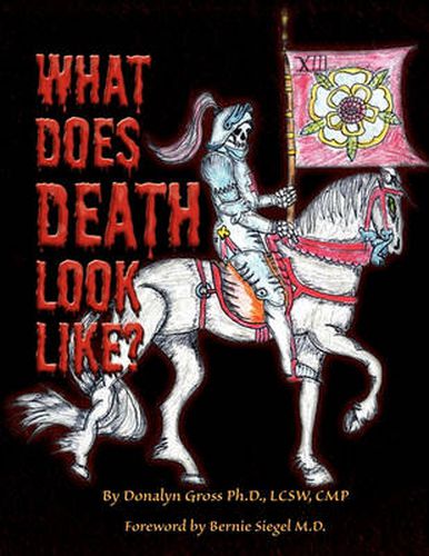 Cover image for What Does Death Look Like?