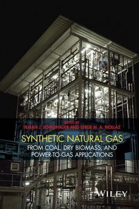 Cover image for Synthetic Natural Gas: From Coal, Dry Biomass, and Power-to-Gas Applications