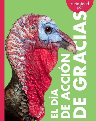 Cover image for Curiosidad Por El Dia de Accion de Gracias