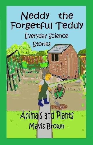 Cover image for Neddy the Forgetful Teddy Everyday Science Stories