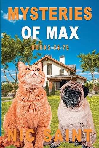 Cover image for Mysteries of Max