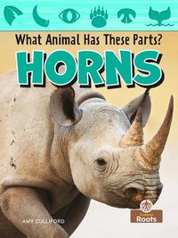 Cover image for Horns