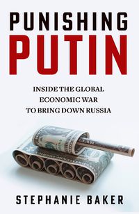 Cover image for Punishing Putin