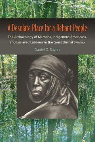 Cover image for A Desolate Place for a Defiant People