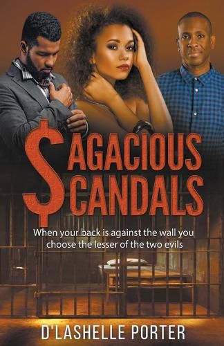 Cover image for Sagacious Scandals