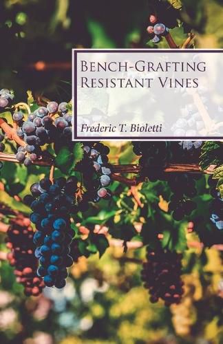 Cover image for Bench-Grafting Resistant Vines