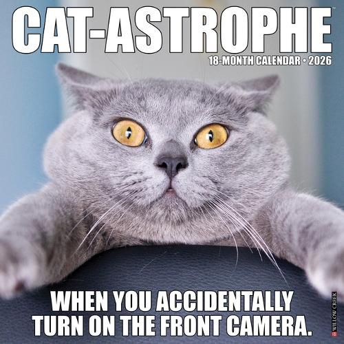 Cover image for Cat-Astrophe 2026 Wall Calendar