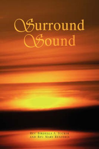 Cover image for Surround Sound