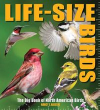 Cover image for Life-Size Birds: The Big Book of North American Birds