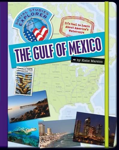 Cover image for The Gulf of Mexico