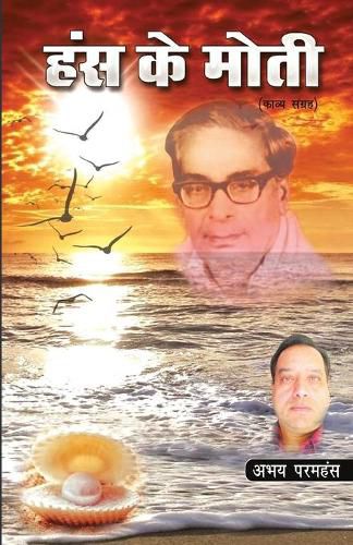Cover image for Hans ke Moti
