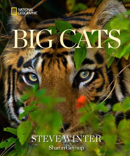 Cover image for Big Cats