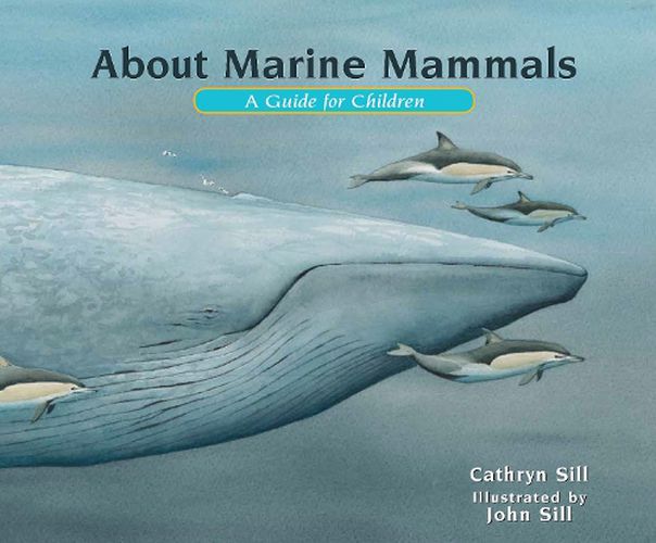 Cover image for About Marine Mammals: A Guide for Children