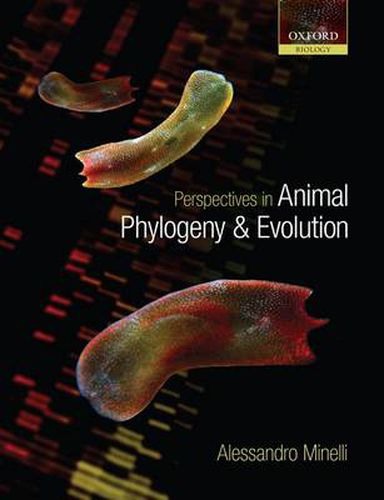 Cover image for Perspectives in Animal Phylogeny and Evolution