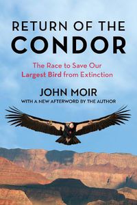 Cover image for Return of the Condor