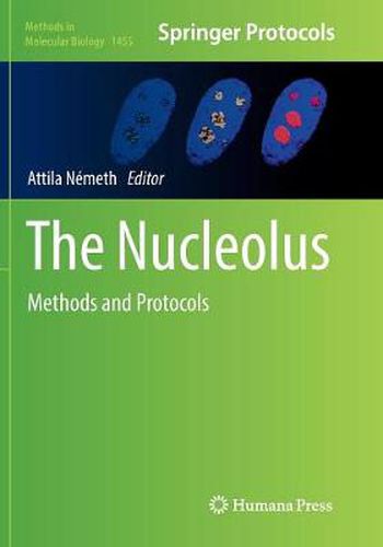 The Nucleolus: Methods and Protocols