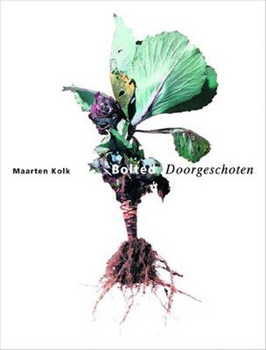 Cover image for Maarten Kolk: Bolted