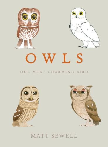 Cover image for Owls: Our Most Charming Bird