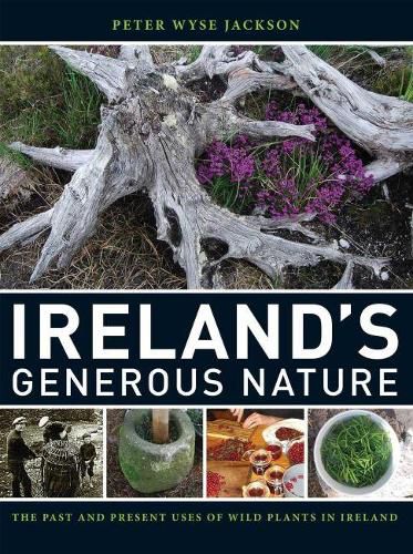 Cover image for Ireland"s Generous Nature - The Past and Present Uses of Wild Plants in Ireland