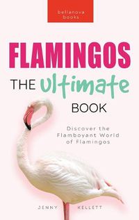 Cover image for Flamingos The Ultimate Flamingo Book for Kids