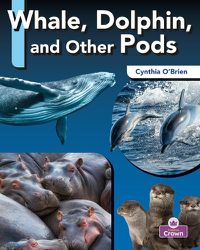 Cover image for Whale, Dolphin, and Other Pods