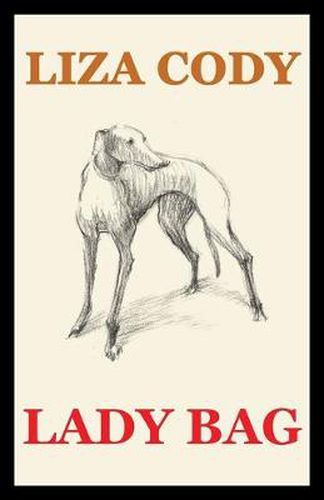 Cover image for Lady Bag