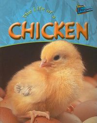 Cover image for The Life of a Chicken