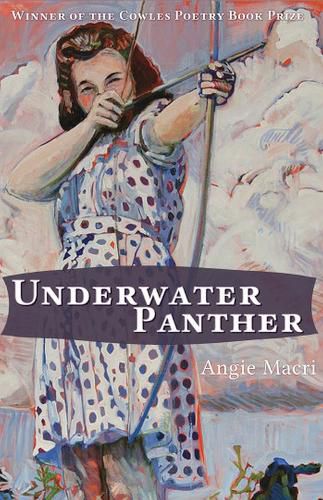 Cover image for Underwater Panther