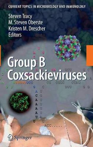 Group B Coxsackieviruses