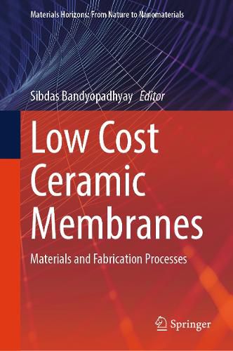 Cover image for Low Cost Ceramic Membranes