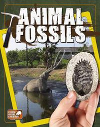 Cover image for Animal Fossils