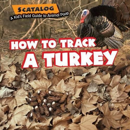 Cover image for How to Track a Turkey