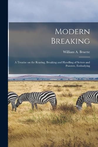 Cover image for Modern Breaking