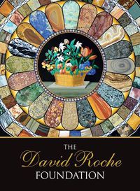 Cover image for The David Roche Foundation