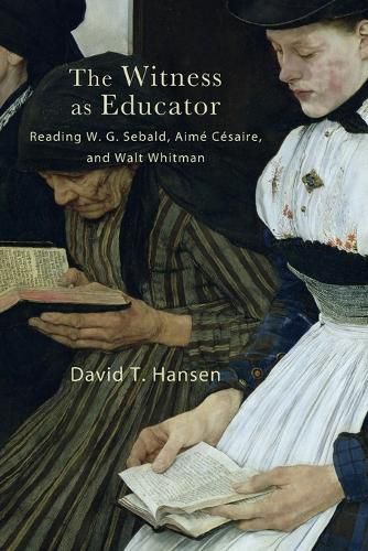 Cover image for The Witness as Educator