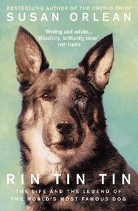 Cover image for Rin Tin Tin: The Life and Legend of the World's Most Famous Dog