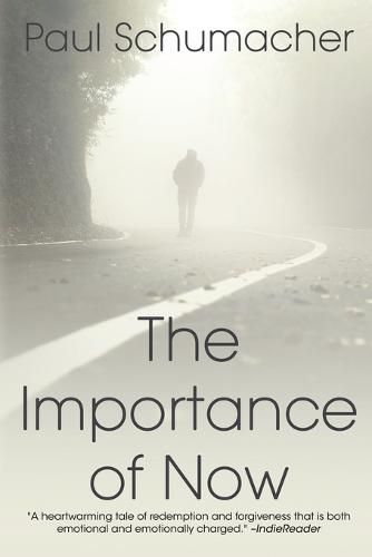 Cover image for The Importance of Now