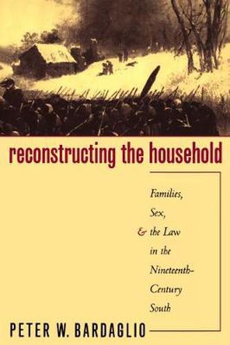 Cover image for Reconstructing the Household: Families, Sex, and the Law in the Nineteenth-Century South