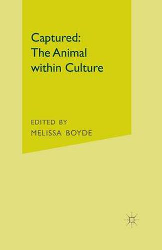 Cover image for Captured: The Animal within Culture