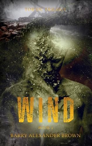 Cover image for Wind