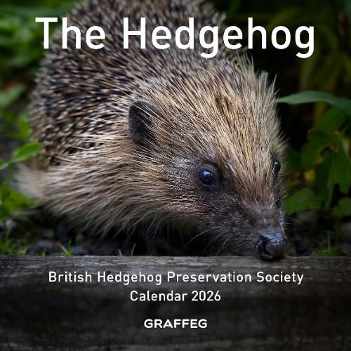 Cover image for The Hedgehog Calendar 2026